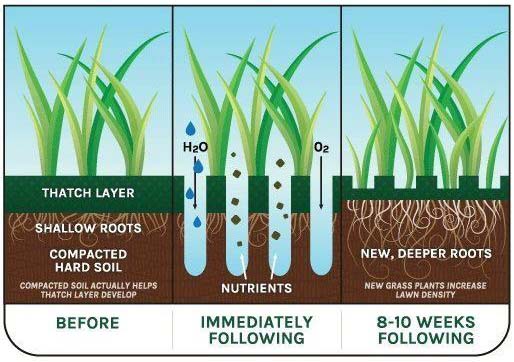 Lawn Aeration Benefits