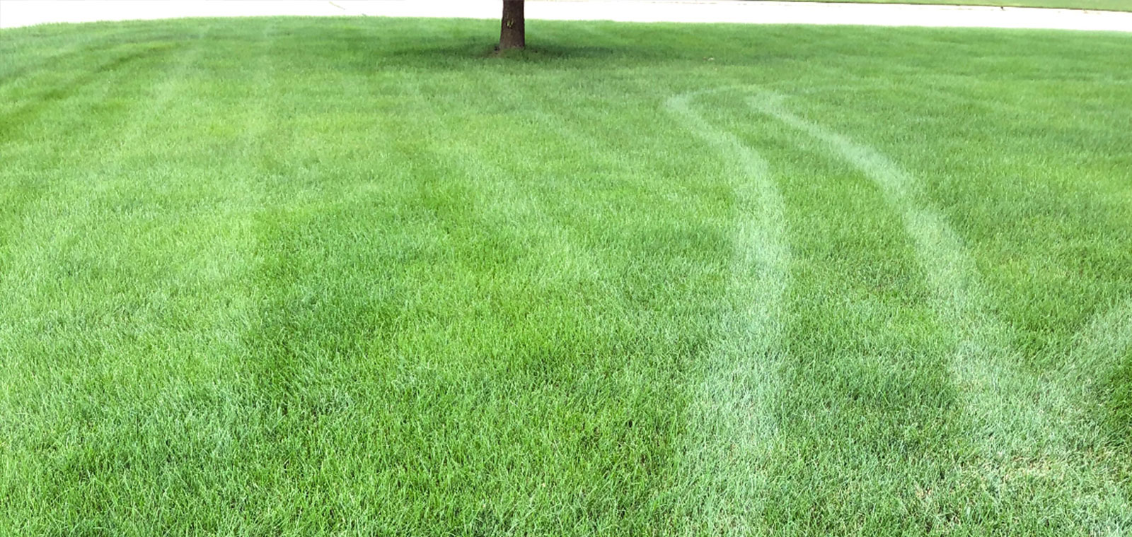 Perfecturf Fertilization and Weed Control Services