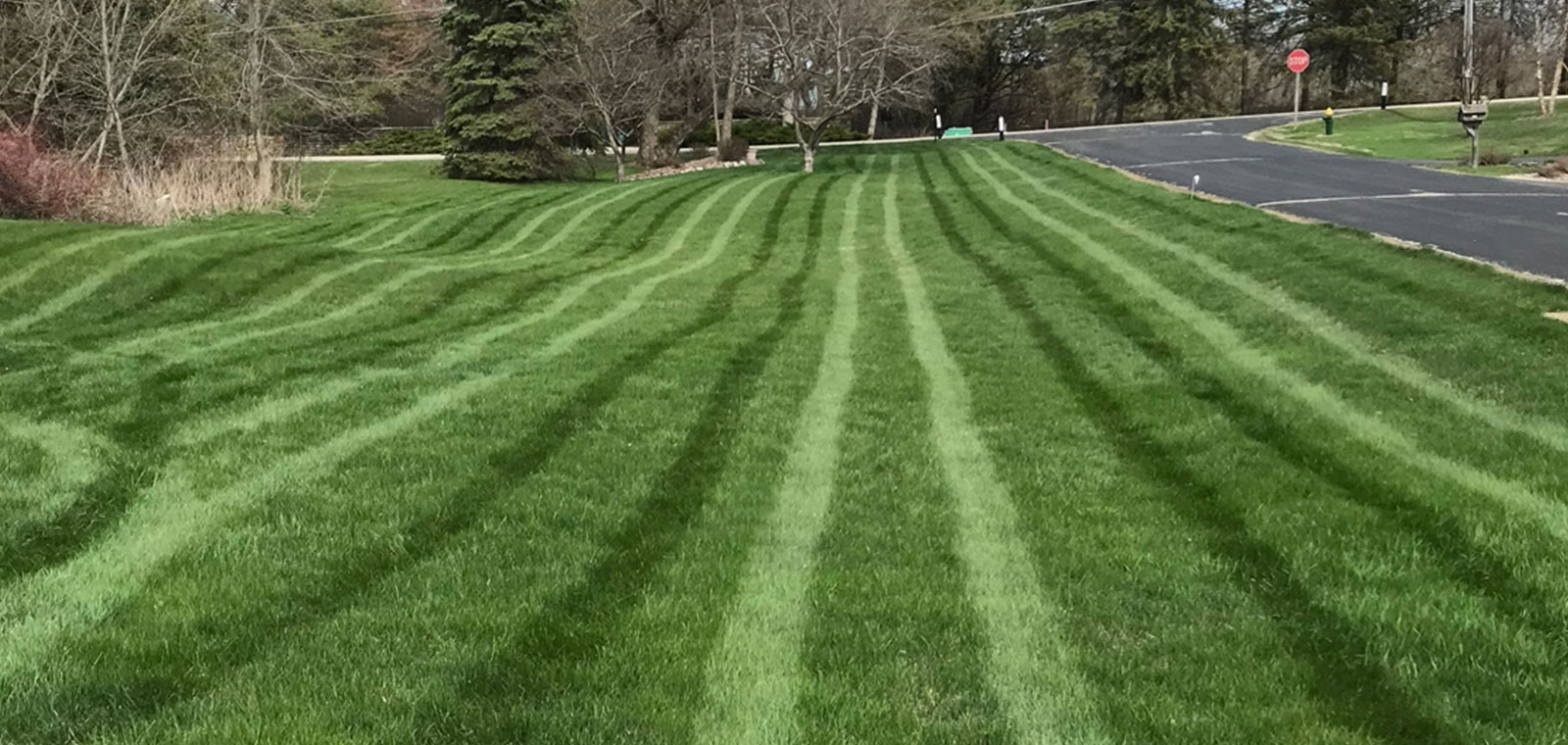 A Healthy Perfecturf Lawn