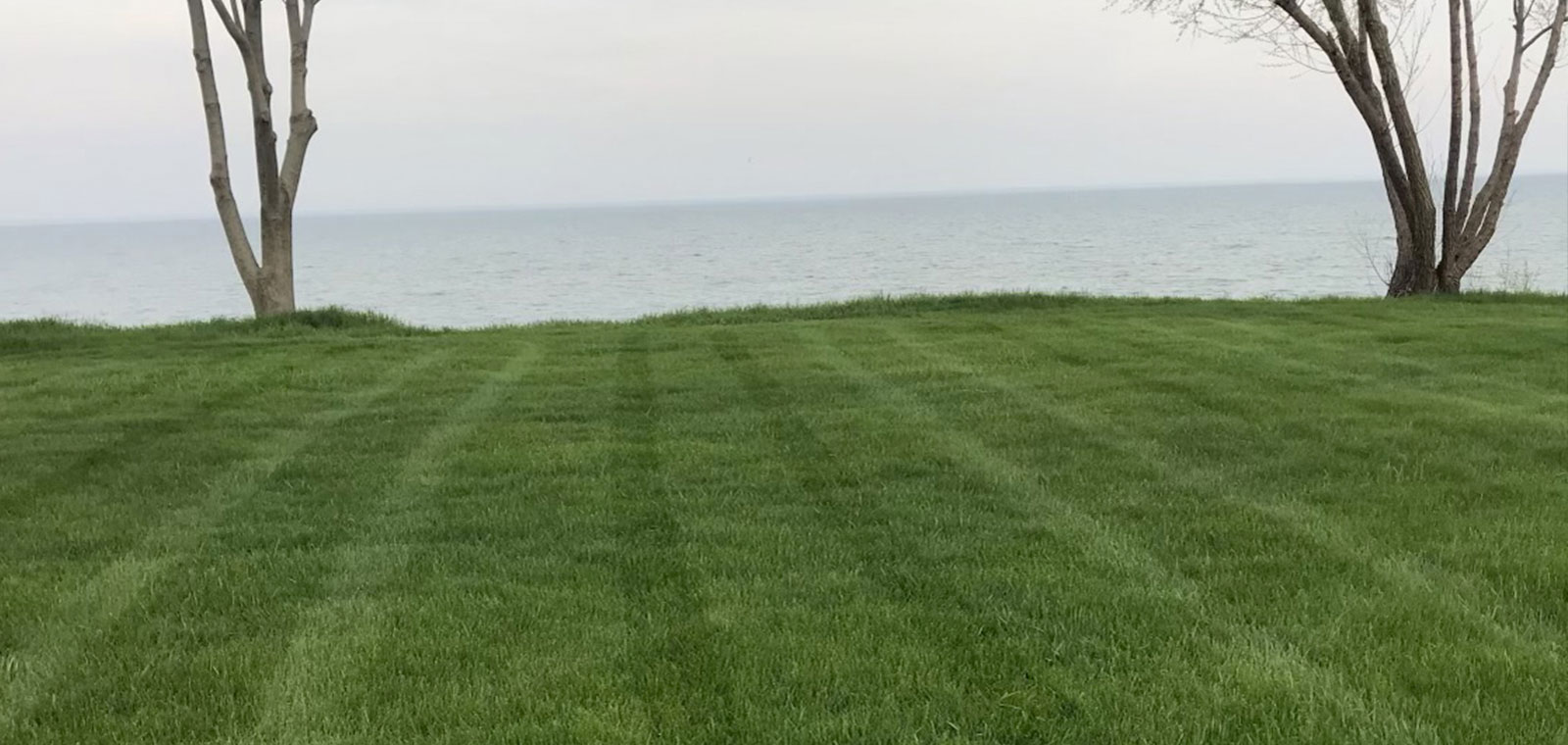 A Healthy Perfecturf Lawn